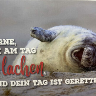 NEU - Postkarten Set 12er Pack Motiv "Lerne am Tag 3 x zu lachen.."